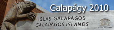 Galapgy 2010