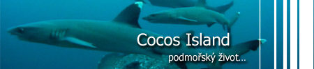Cocos Islands - podmosk ivot...